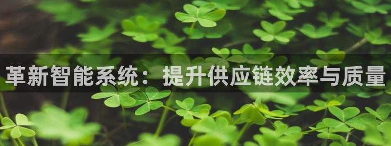 威九国际的金融服务怎么样：革新智能系统：提升供应链效率与质量