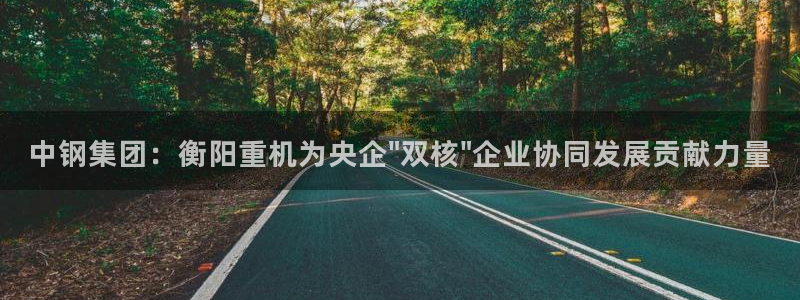 威九国际app大全下载安装：中钢集团：衡阳重机为央企\