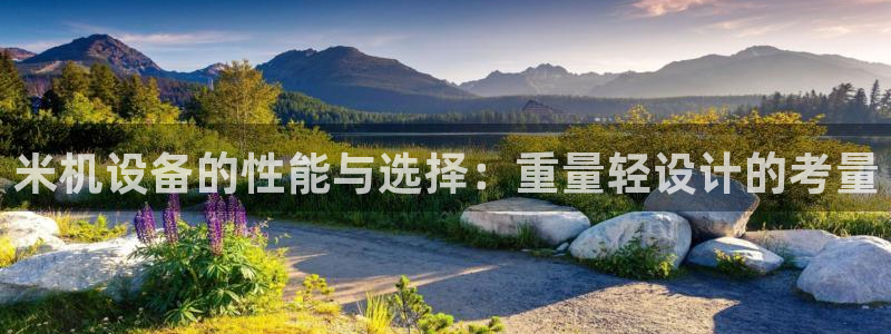 威九国际官方入口官网