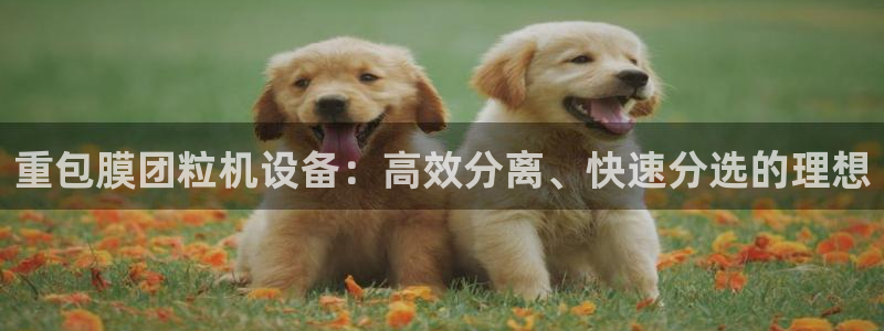威九国际网站进入产品分类