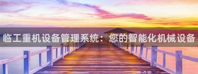 威九国际的金融服务